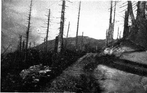 Monte Grappa devastato dai bombardamenti (fonte: A. Michieli)