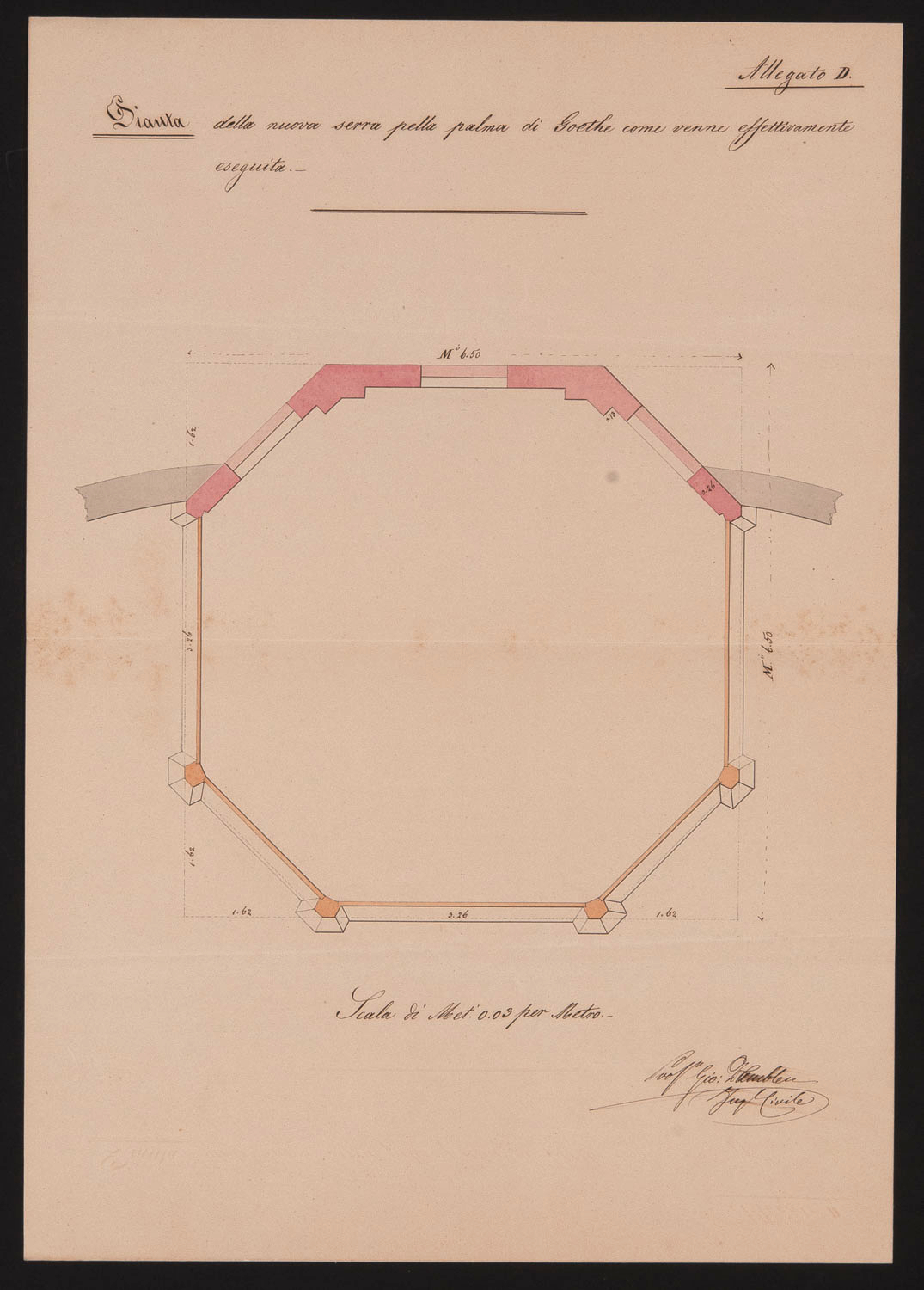 Disegno della serra della Palma di Goethe 2