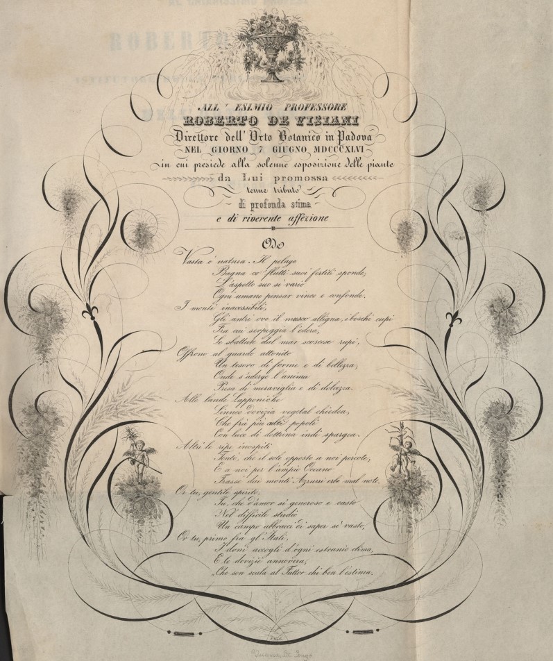 Ode dedicata a De Visiani in occasione dell'esposizione delle piante del 1846