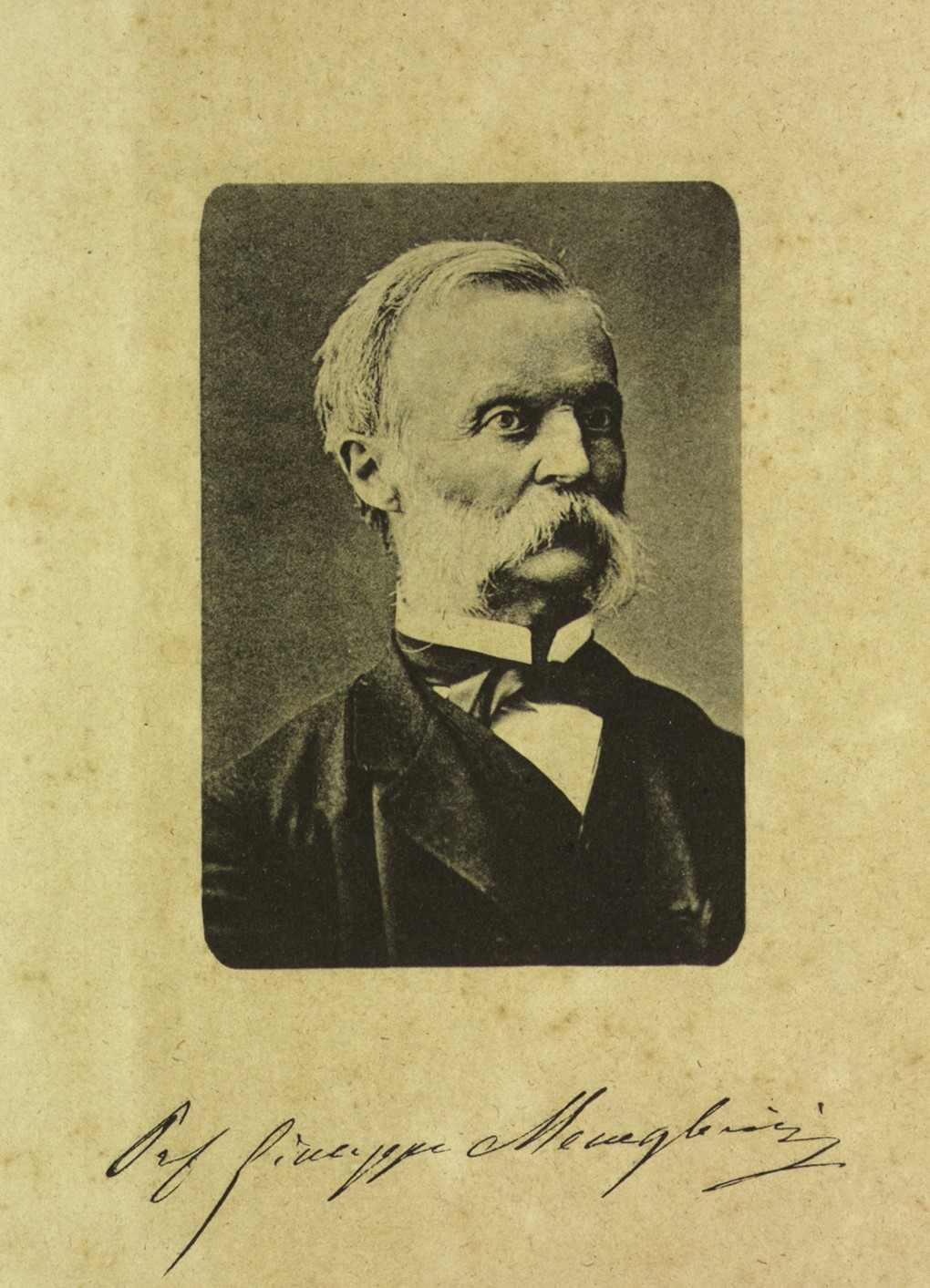 Giuseppe Giovanni Antonio Meneghini (1811–1889), stampa fotomeccanica