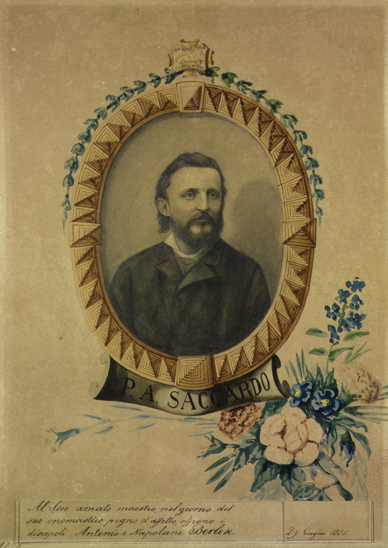 Ritratto di Pier Andrea Saccardo (1845–1920), matita e acquerello