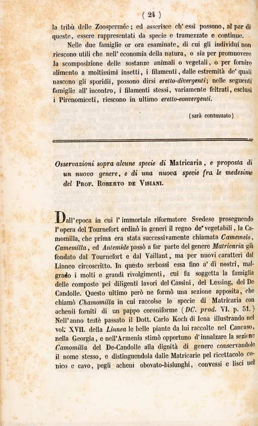 Testo a stampa di Osservazioni sopra alcune specie di Matricaria, e proposta di un nuovo genere...