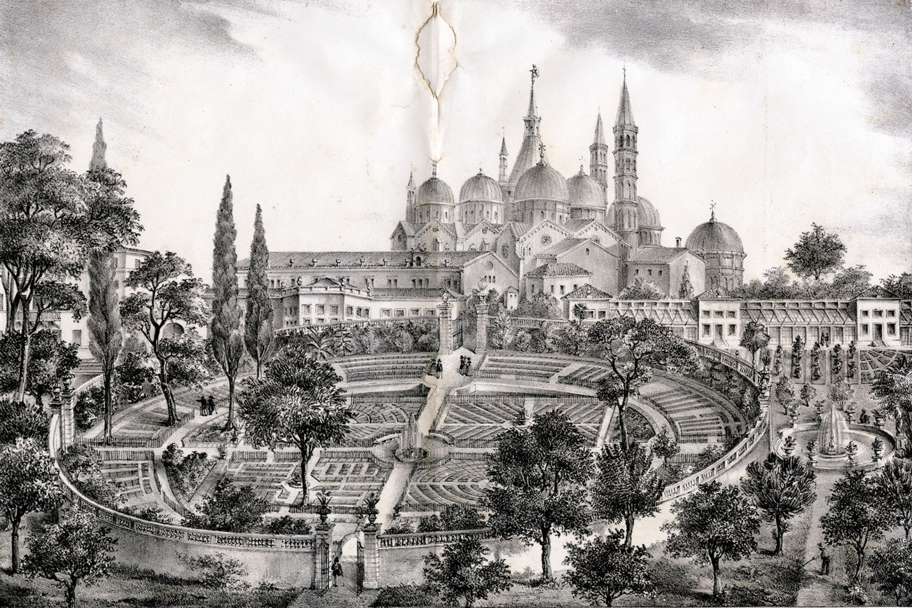 L'Orto botanico di Padova nel 1842, tavola