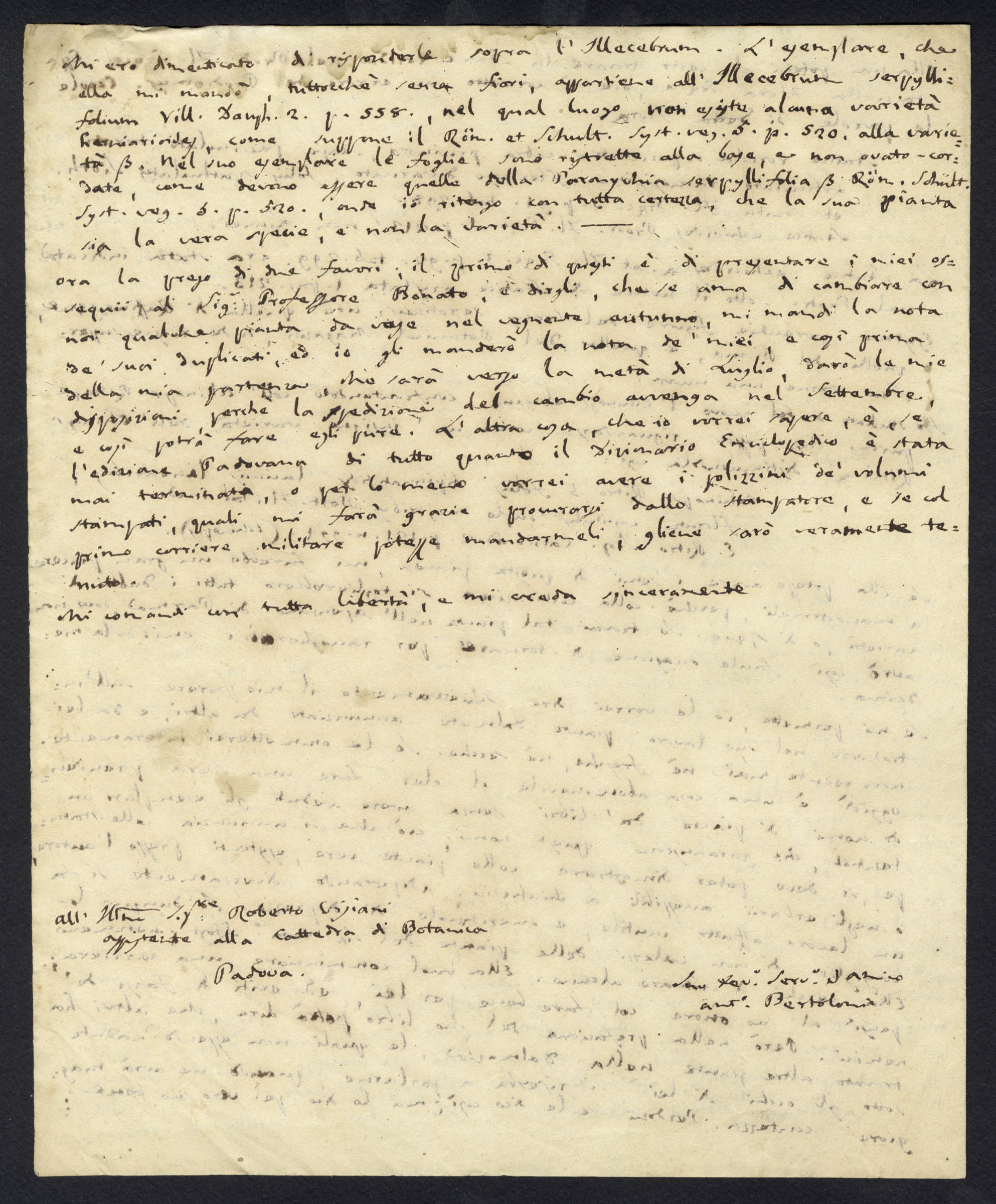 Una pagina della lettera datata Bologna 21 giugno 1825 di Antonio Bertoloni a De Visiani