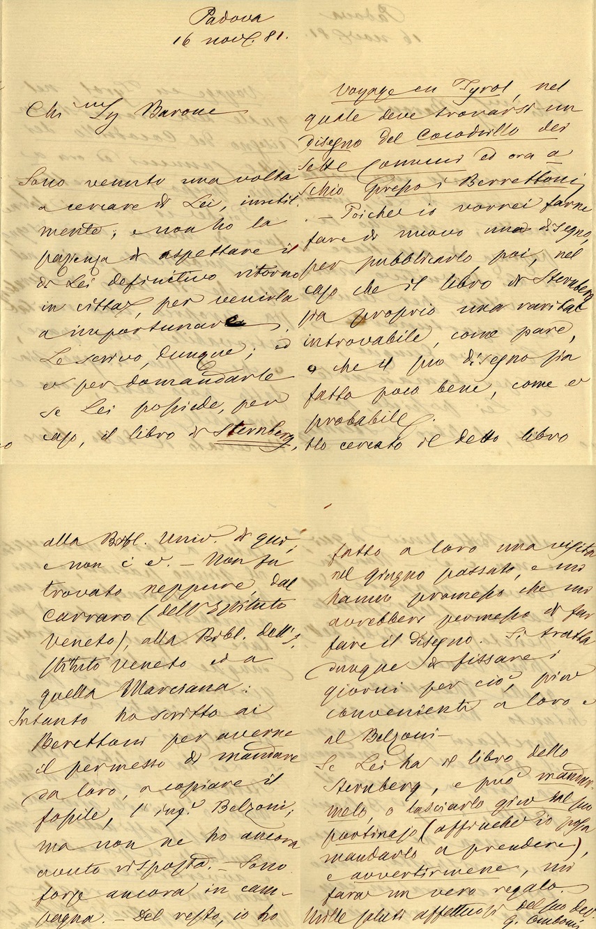 lettera di Giovanni Omboni a De Zigno del 16 novembre 1881. Biblioteca di Geoscienze dell'Università di Padova.