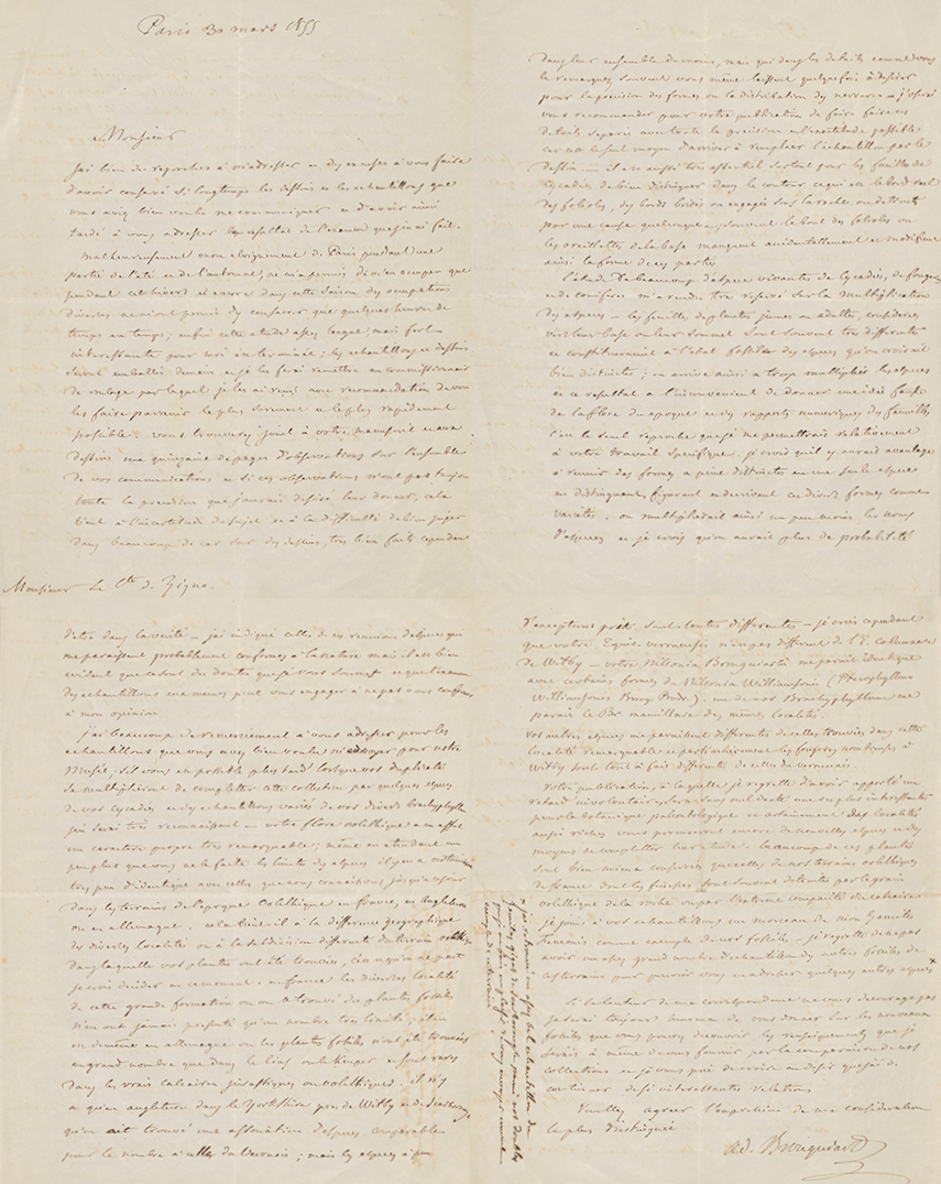 Lettera del 30 marzo 1855 di Alexandre Brongniart ad Achille De Zigno. Biblioteca di Geoscienze dell'Università di Padova.