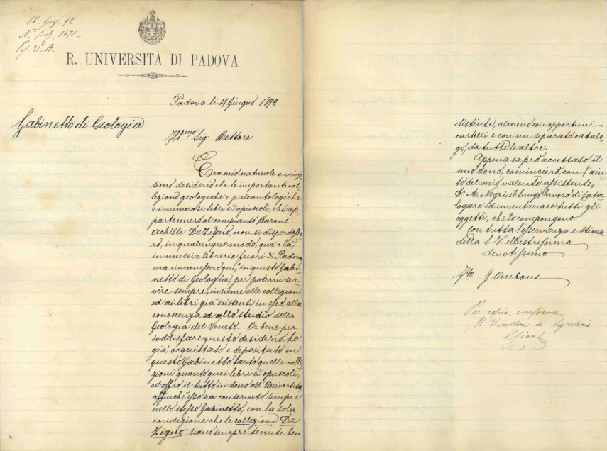 Intenzione di Omboni a donare all'Università di Padova la collezione di De Zigno (17 giugno 1892). Per gentile concessione dell'Archivio storico dell'Università di Padova.