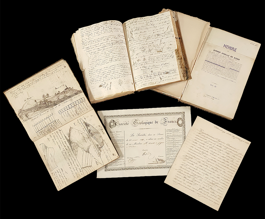 Achille De Zigno's archive. Biblioteca di Geoscienze dell'Università di Padova.