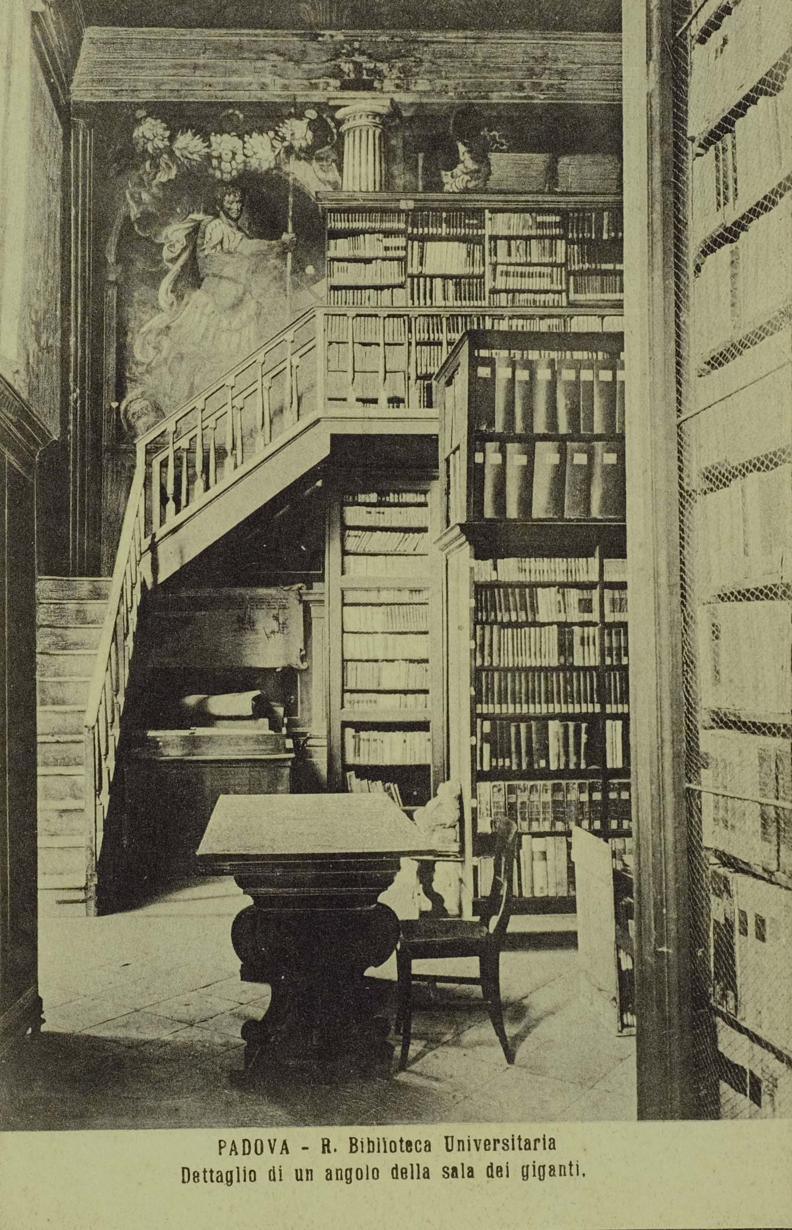 La Biblioteca Universitaria nella Sala dei Giganti, BUP