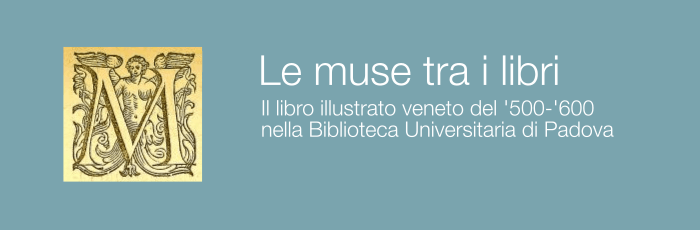 Le muse tra i libri