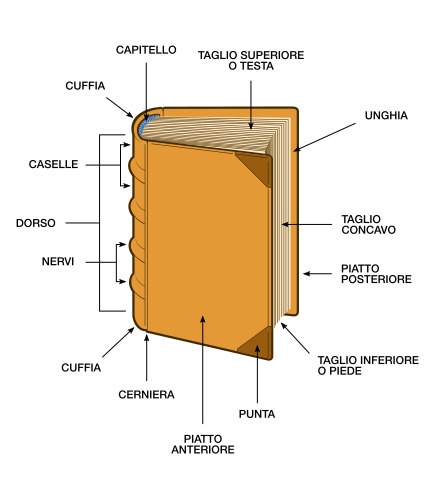 Parts of a book