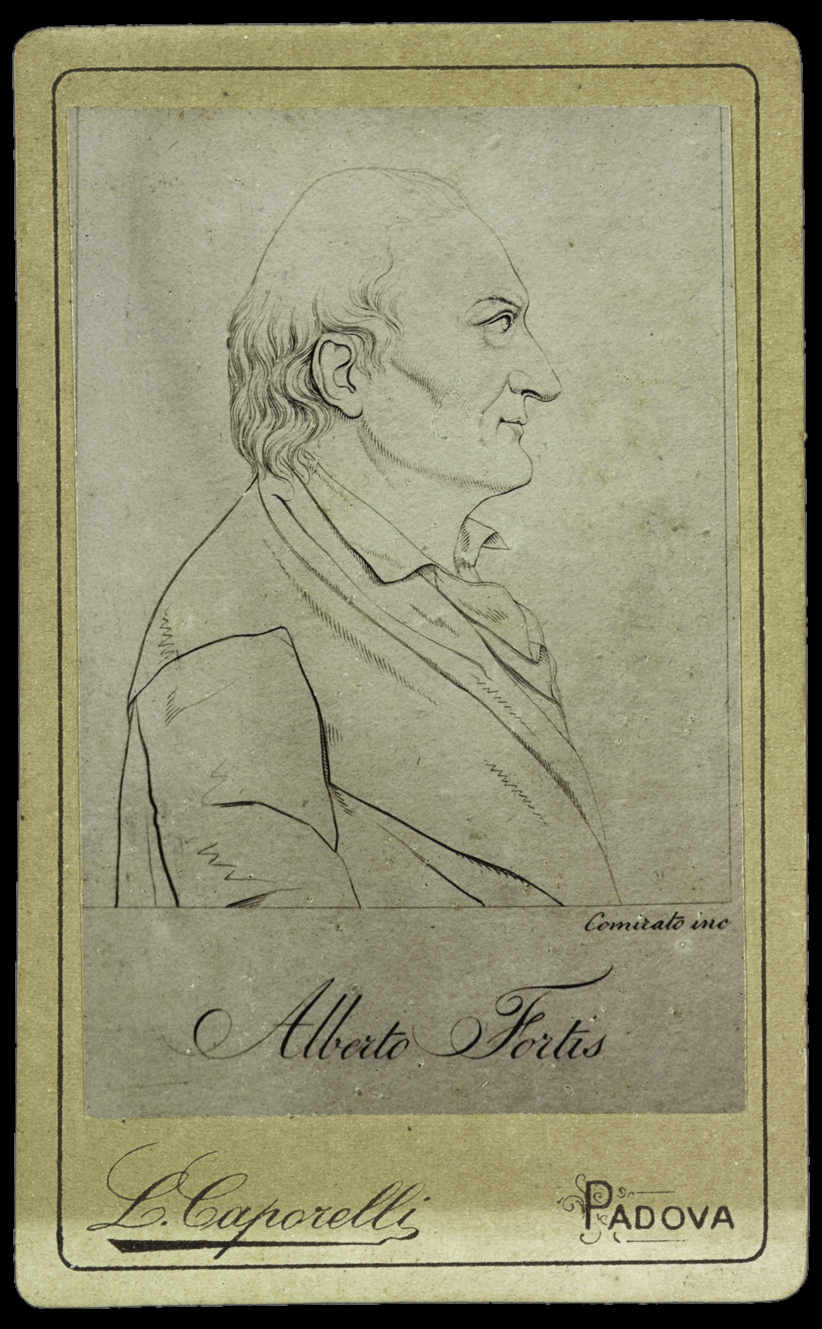 Alberto Fortis