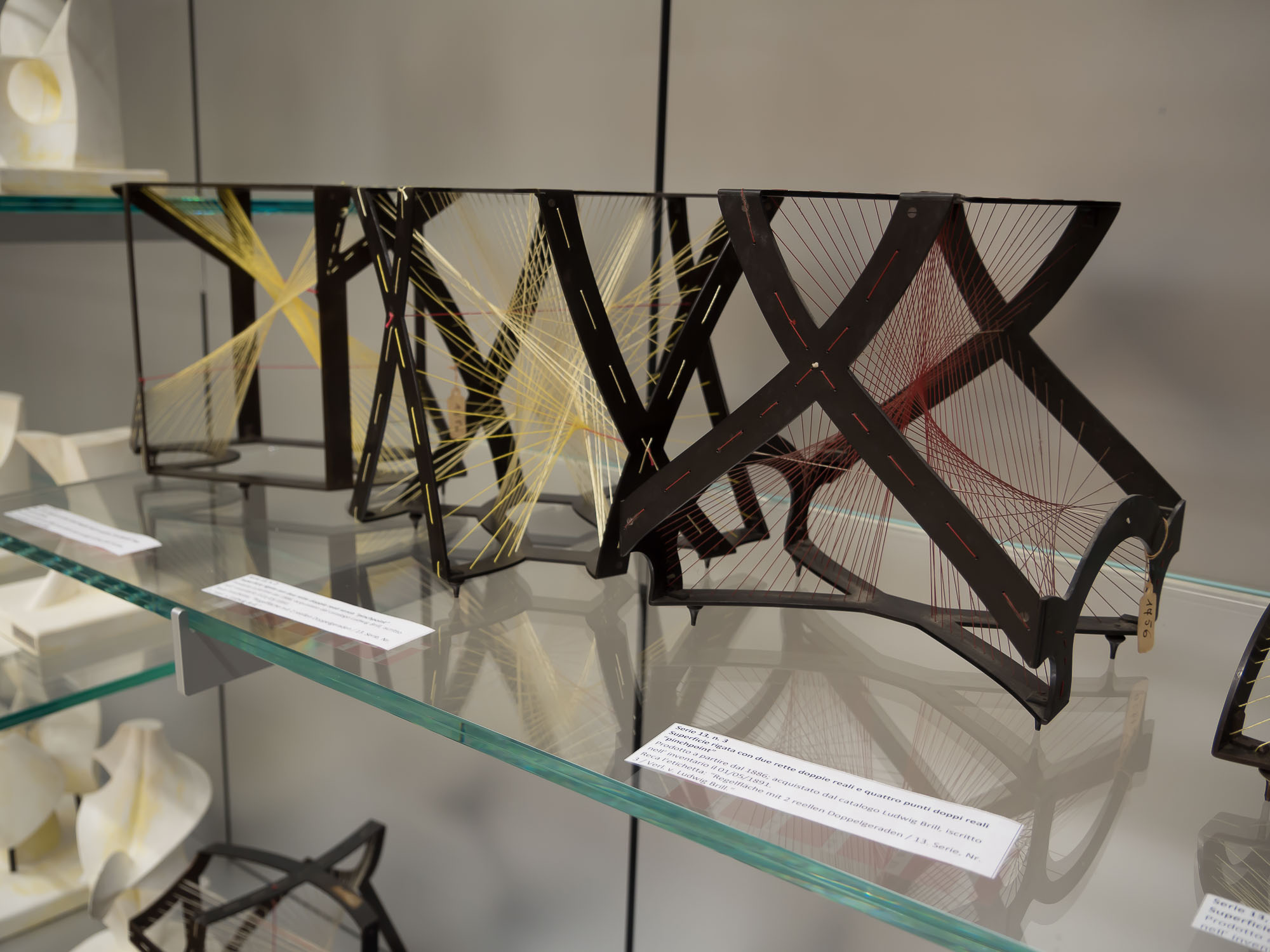 Altro particolare della vetrina con i modelli in ferro e fili di seta del Catalog Brill-Schilling