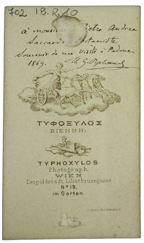 typhoxylos