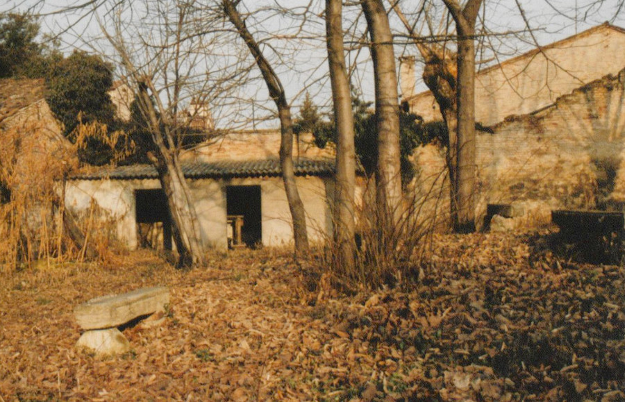 Internal park towards Ca' Lando, 1997