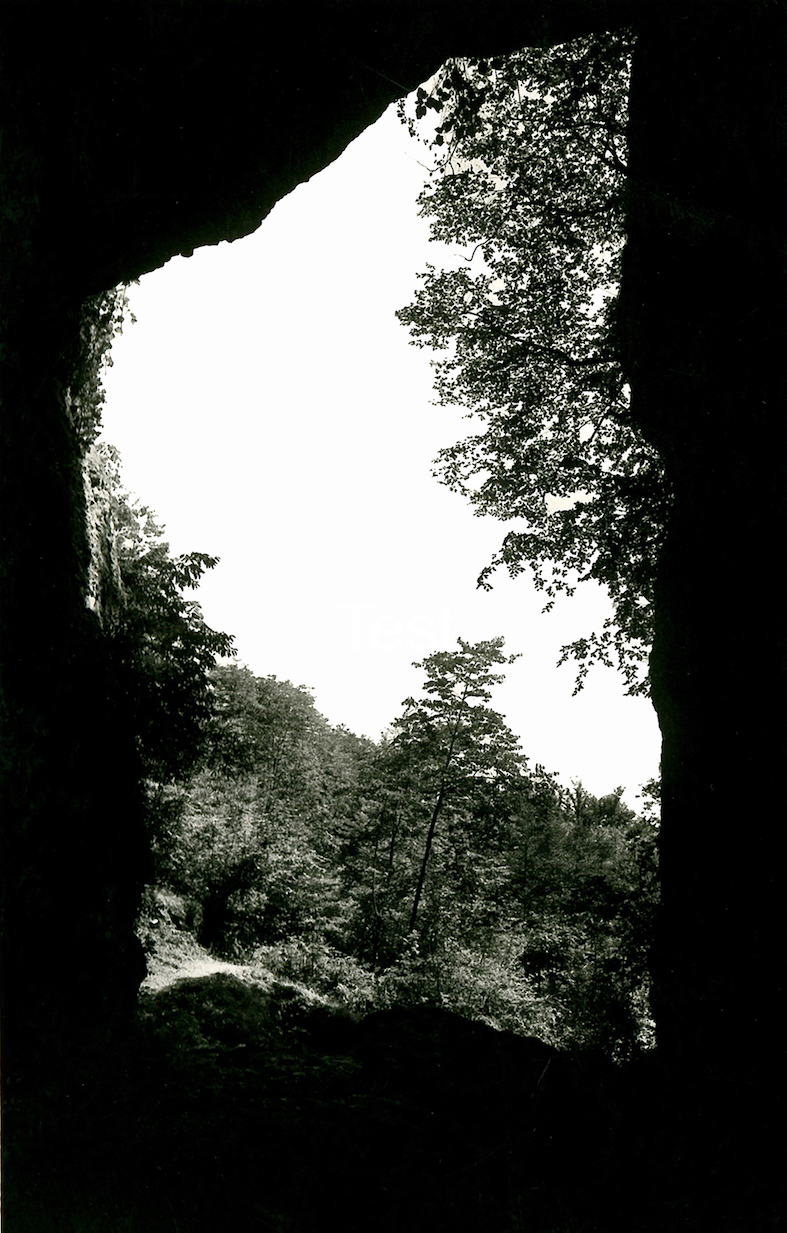 L'ingresso della grotta di Bocca Lorenza vista dell'interno