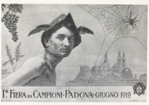 VecchiaPadova(1900-20)_giugno 1955