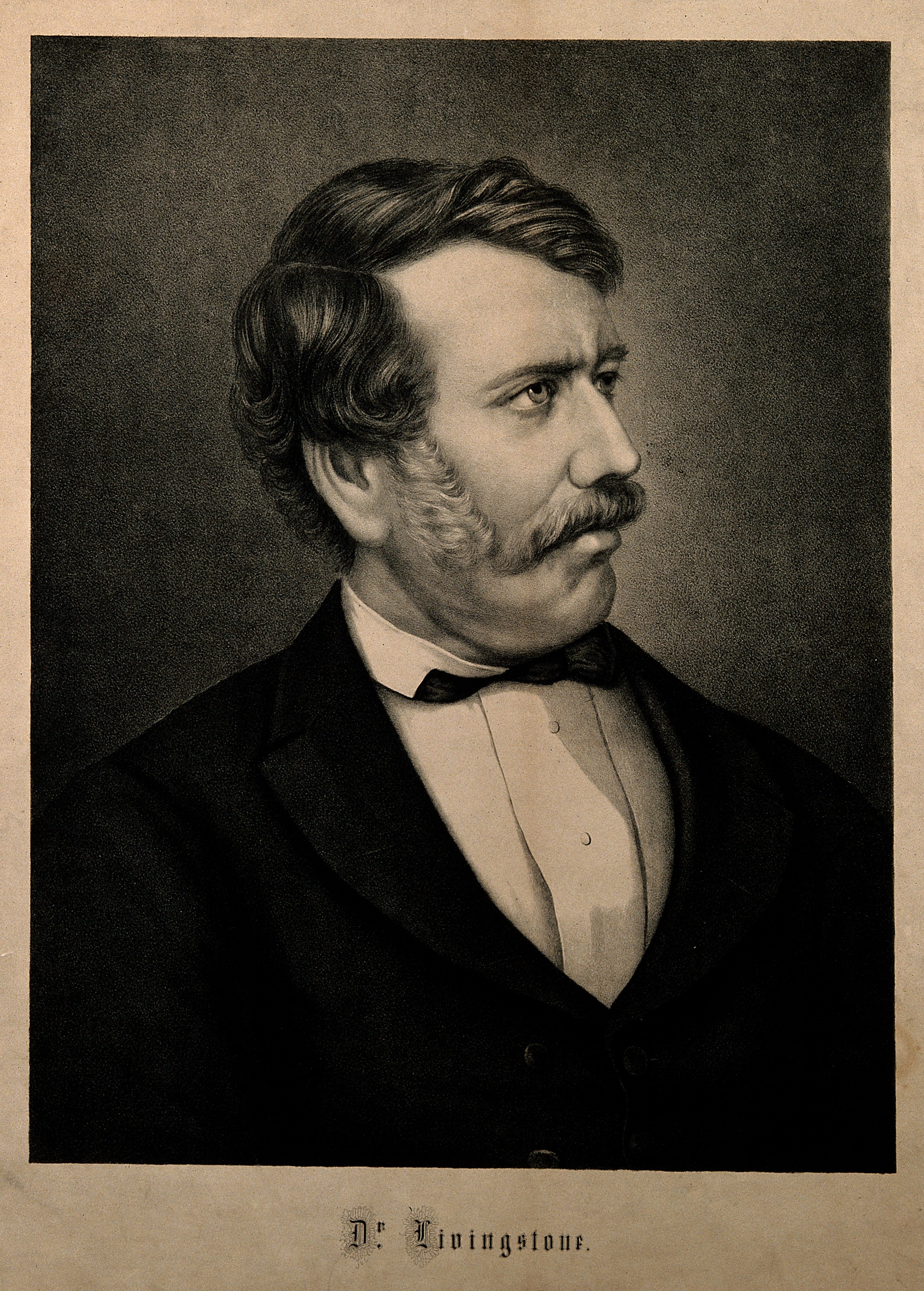 David_Livingstone._Lithograph._Wellcome_V0006547