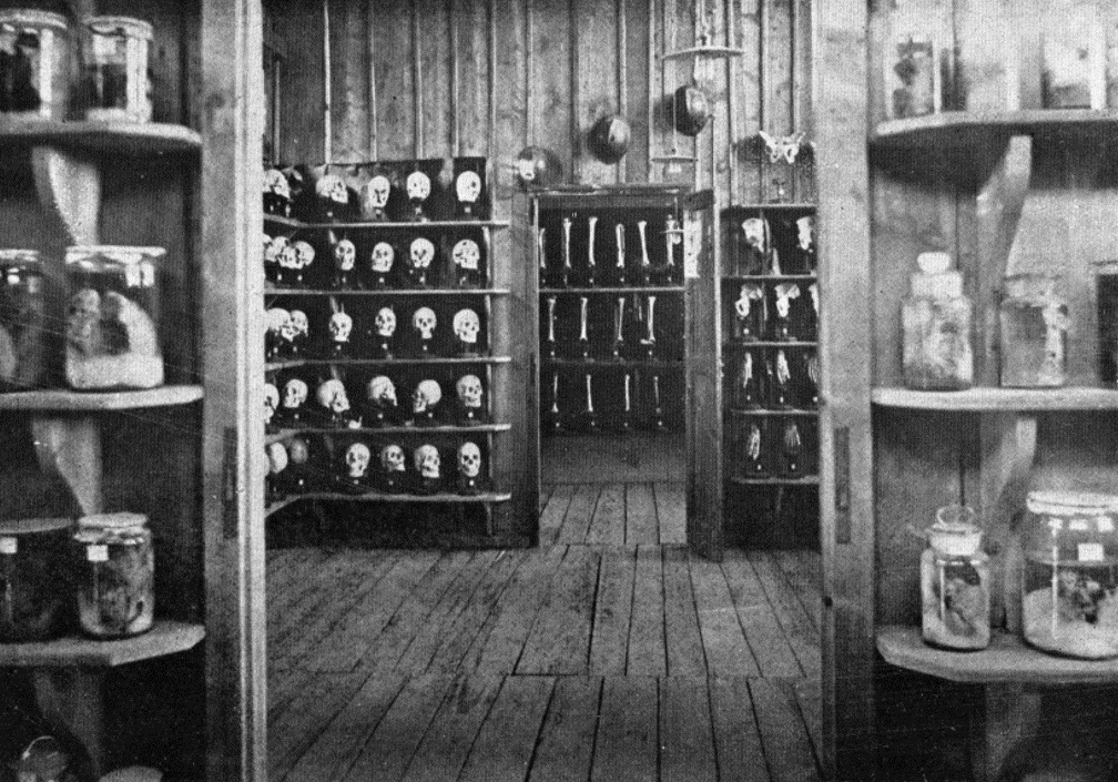 Interno del Museo anatomico di traumatologia di guerra (Tusini 1918)