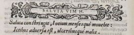 Salvia (C. Durante, De bonitate et vitio alimentorum, BUPd, 91.a.117)