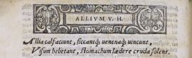 Aglio (C. Durante, De bonitate et vitio alimentorum, BUPd, 91.a.117)