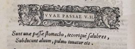 Uva passa (C. Durante, De bonitate et vitio alimentorum, BUPd, 91.a.117)