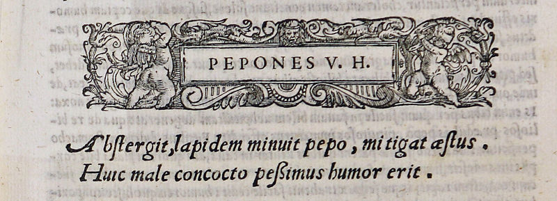 Meloni (C. Durante, De bonitate et vitio alimentorum, BUPd, 91.a.117)