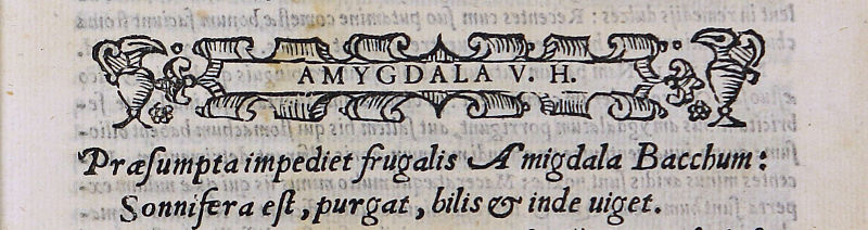 Mandorla (C. Durante, De bonitate et vitio alimentorum, BUPd, 91.a.117)